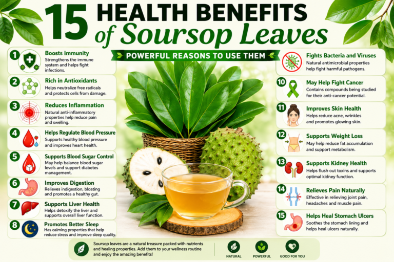 15 Health Benefits of Soursop Leaves